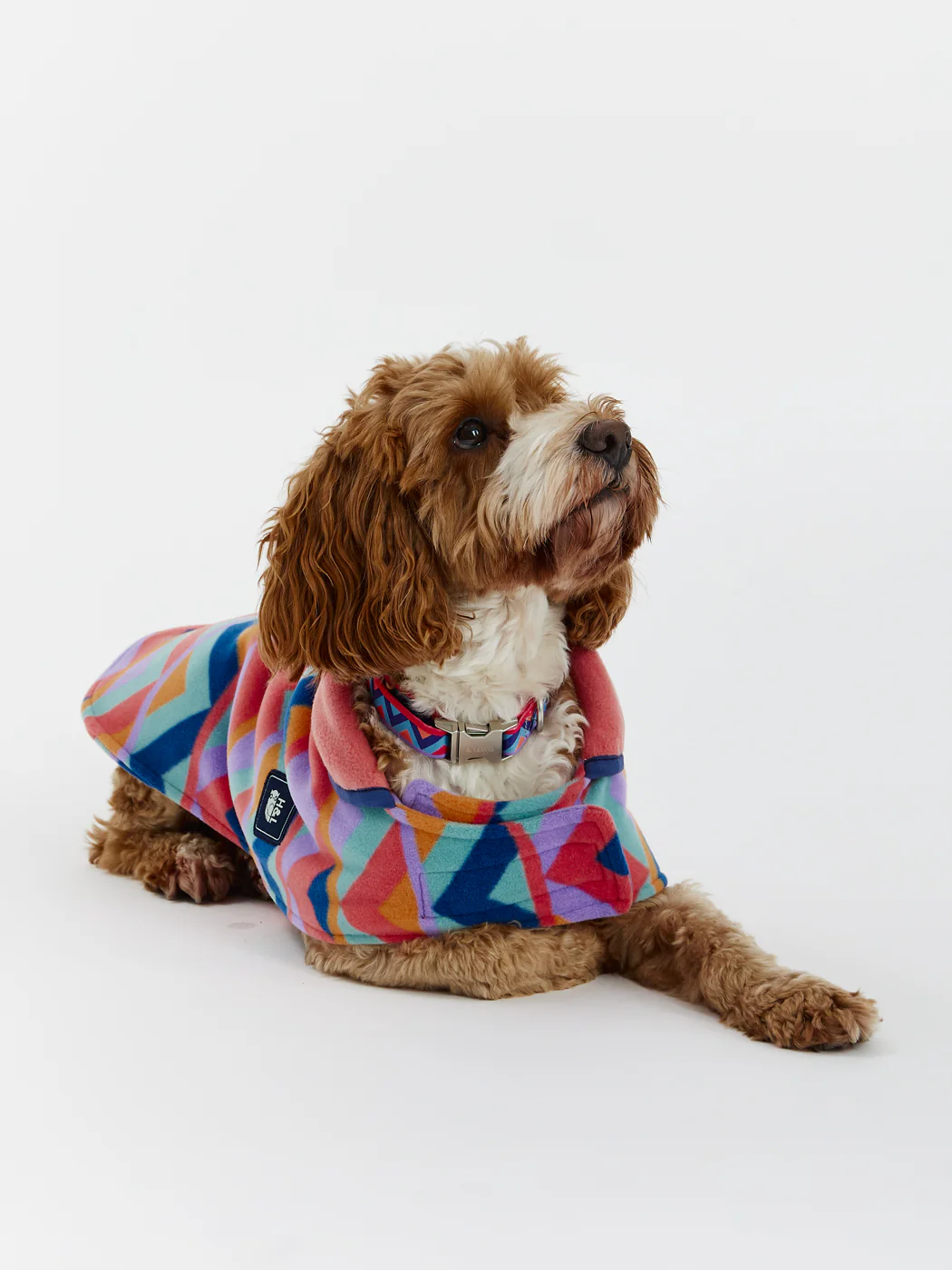 Raver Dogs Fleece - Harper & Lewis