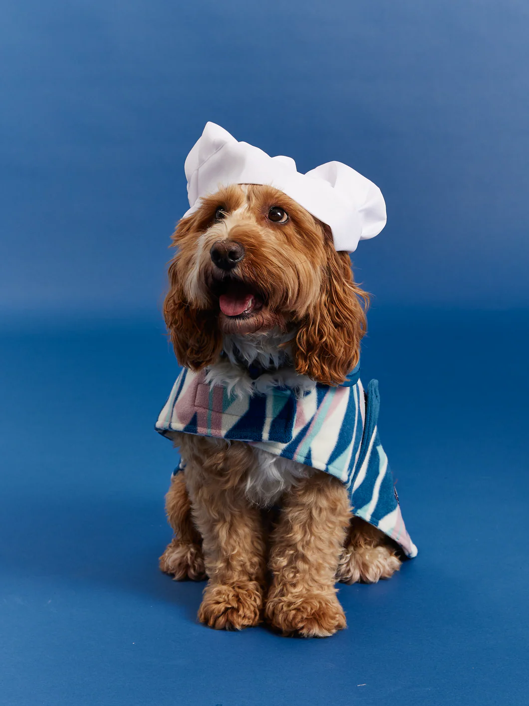 Nevis Dogs Fleece - Harper & Lewis