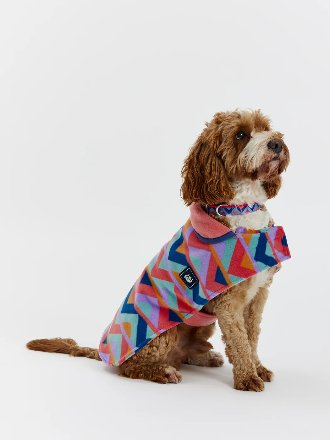 Raver Dogs Fleece - Harper & Lewis
