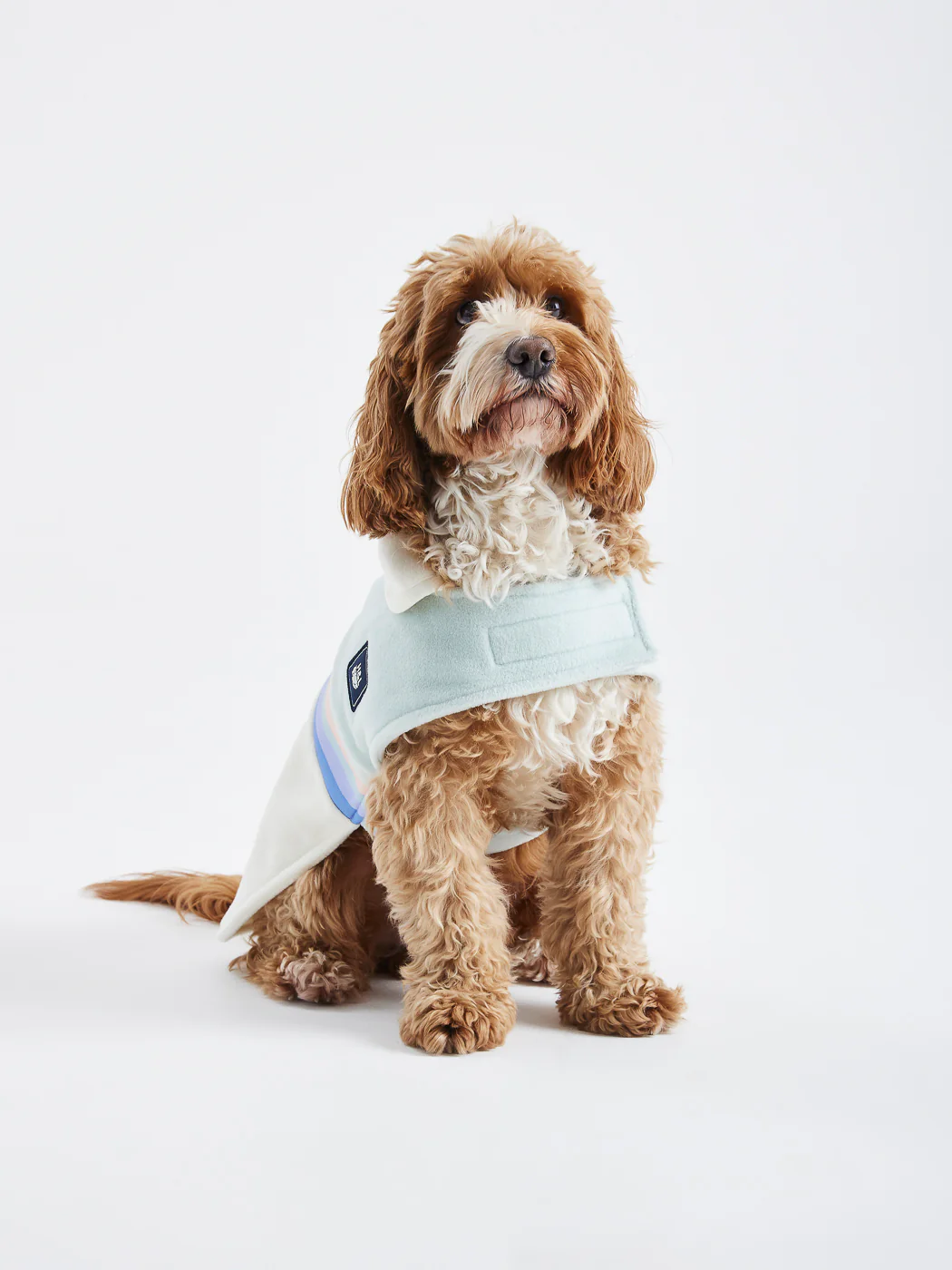 One Eighty Dogs Fleece - Harper & Lewis