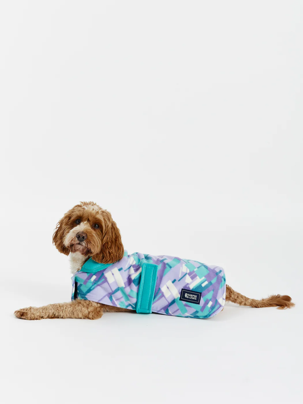 Neve Dogs Fleece - Harper & Lewis
