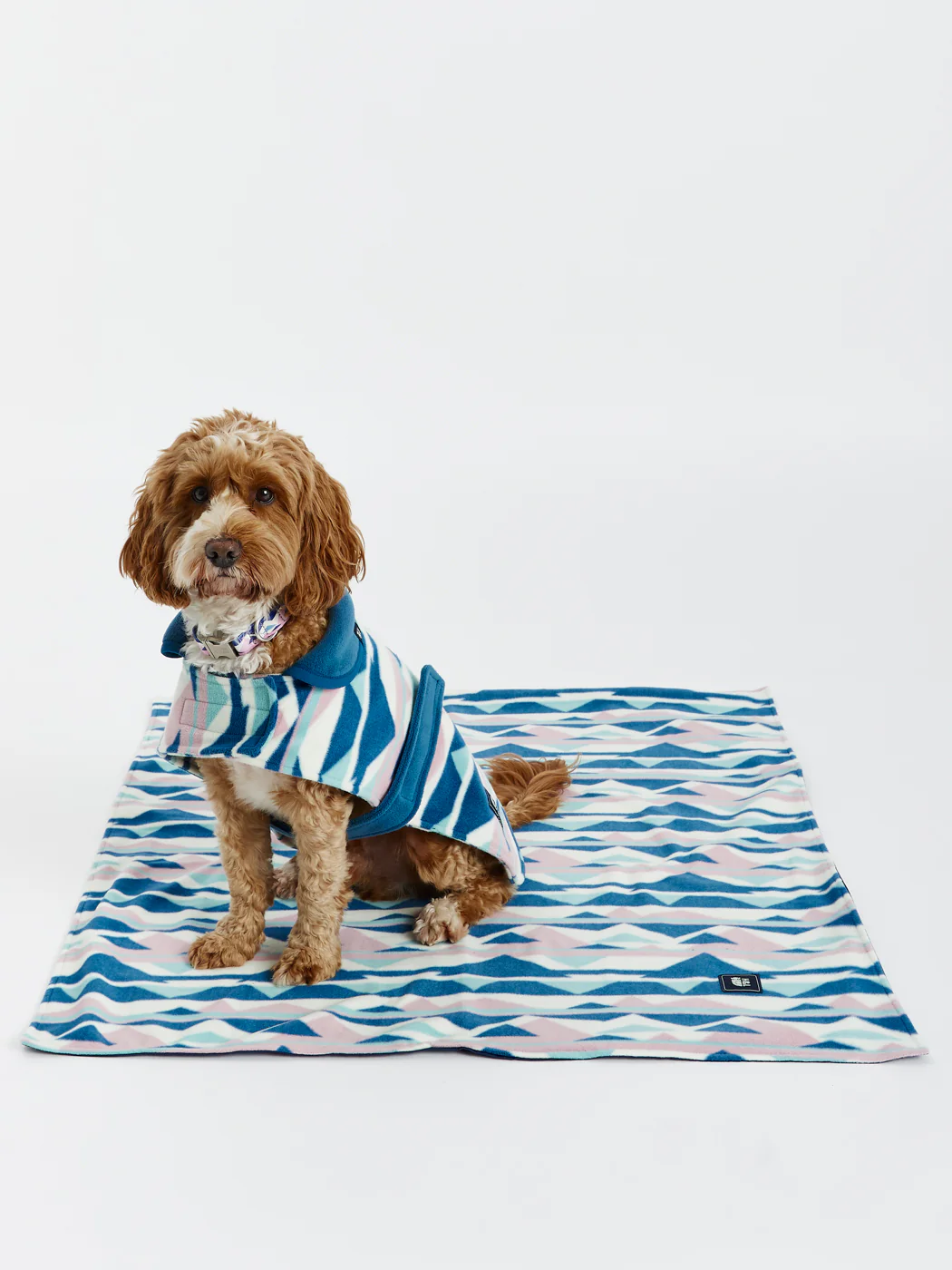 Nevis Dogs Fleece - Harper & Lewis