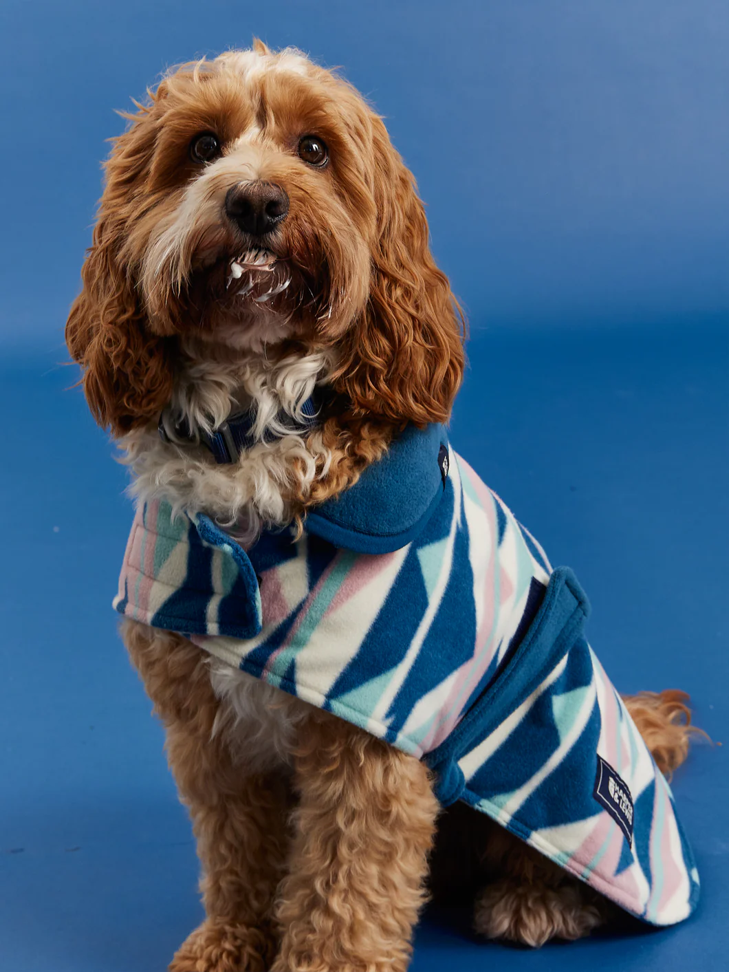 Nevis Dogs Fleece - Harper & Lewis