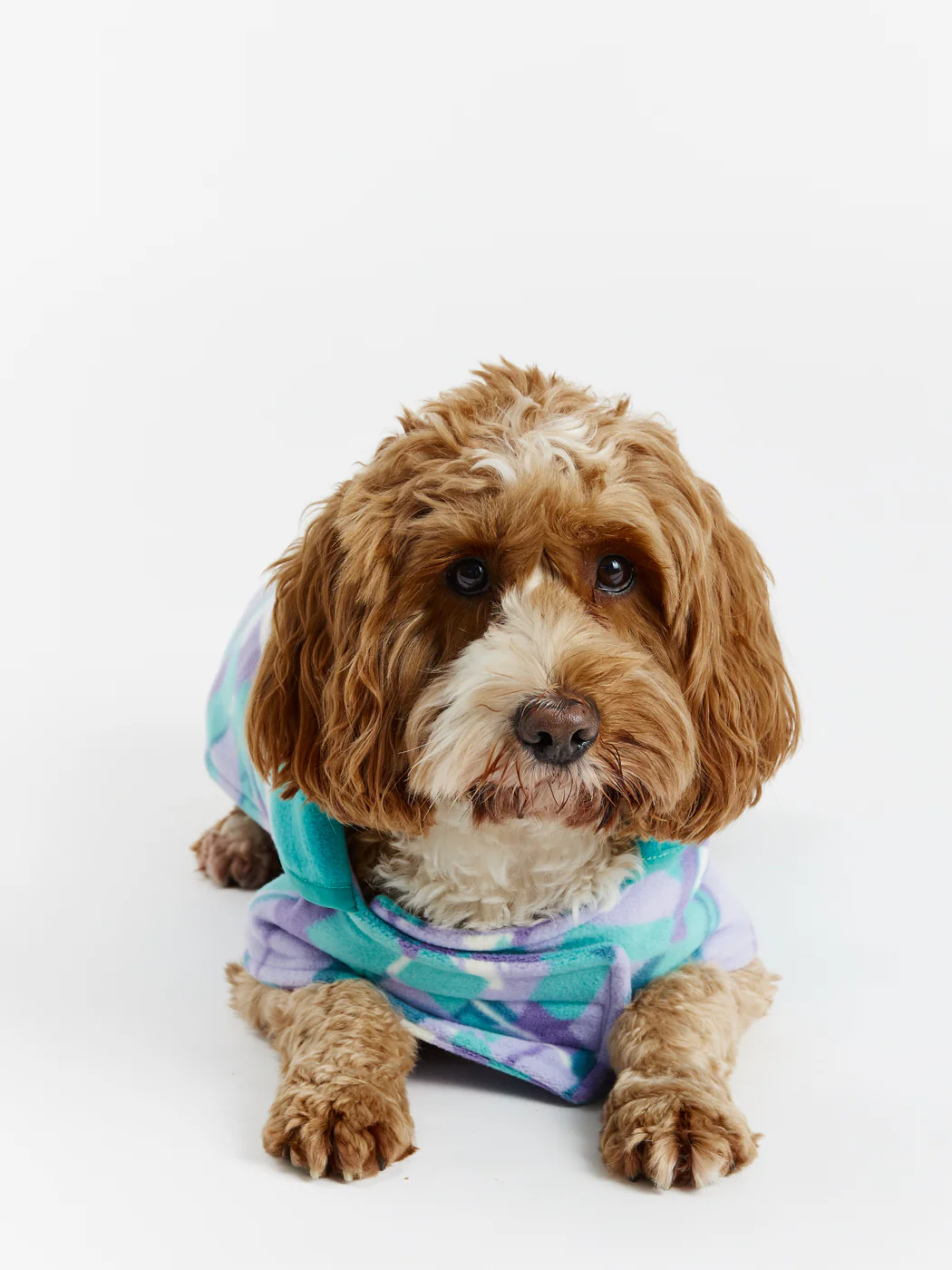 Neve Dogs Fleece - Harper & Lewis