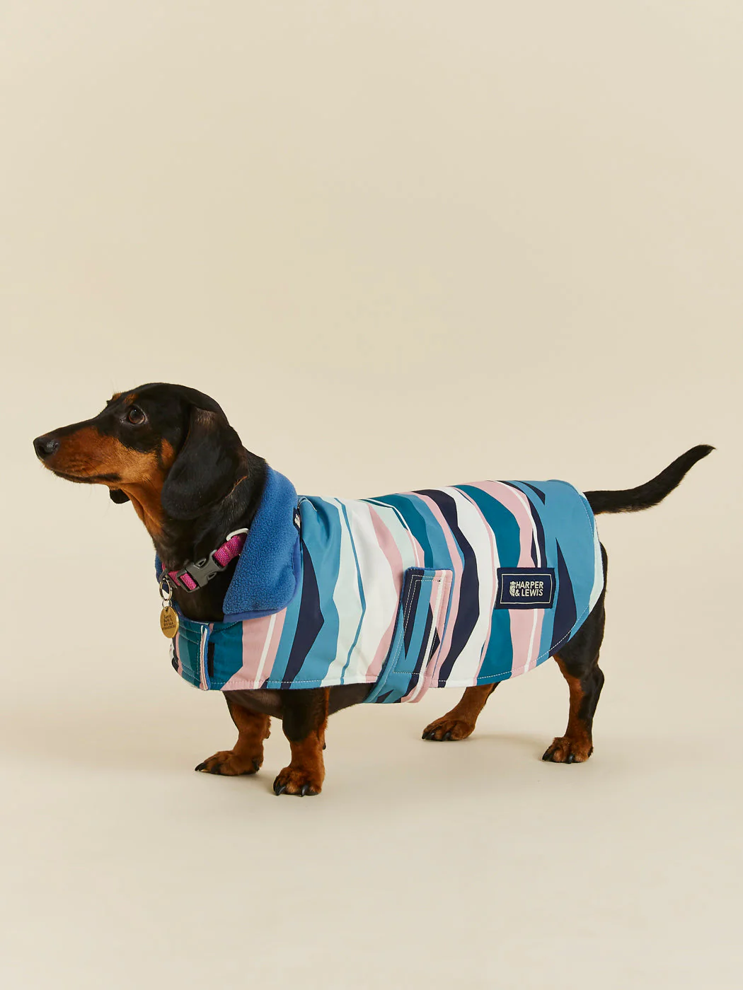 Alva Dogs Coat - Harper & Lewis