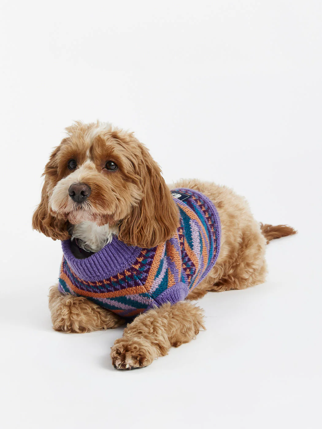 Kirby Dogs Knitted Jumper - Harper & Lewis