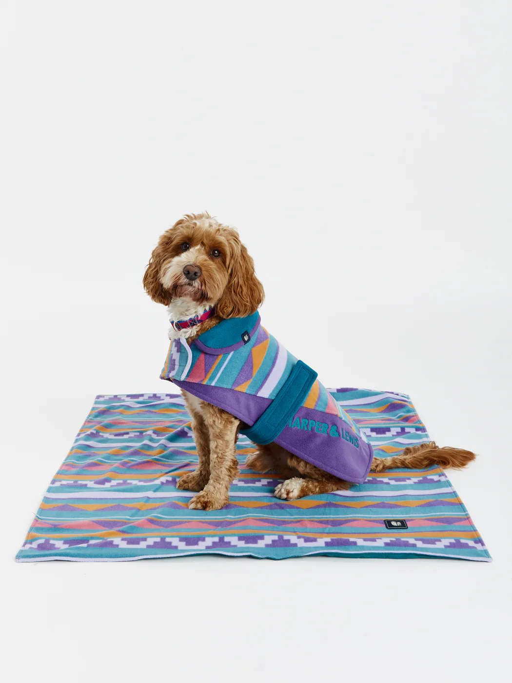 Abelia Dogs Fleece - Harper & Lewis