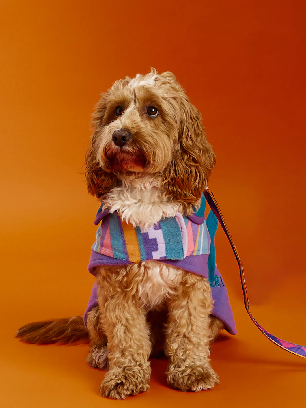 Abelia Dogs Fleece - Harper & Lewis