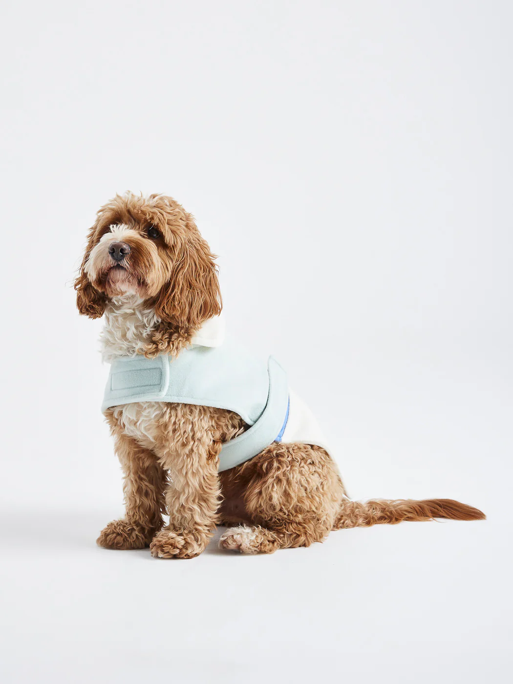 One Eighty Dogs Fleece - Harper & Lewis